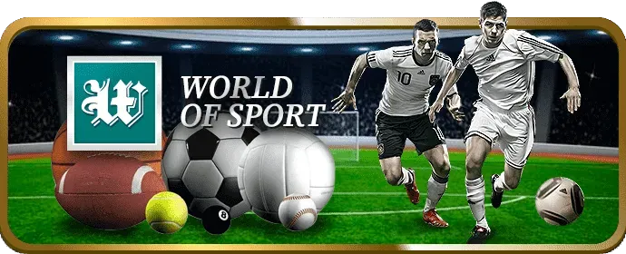 Biểu đồ phân tích xu hướng và các biểu tượng bonus trong game slot